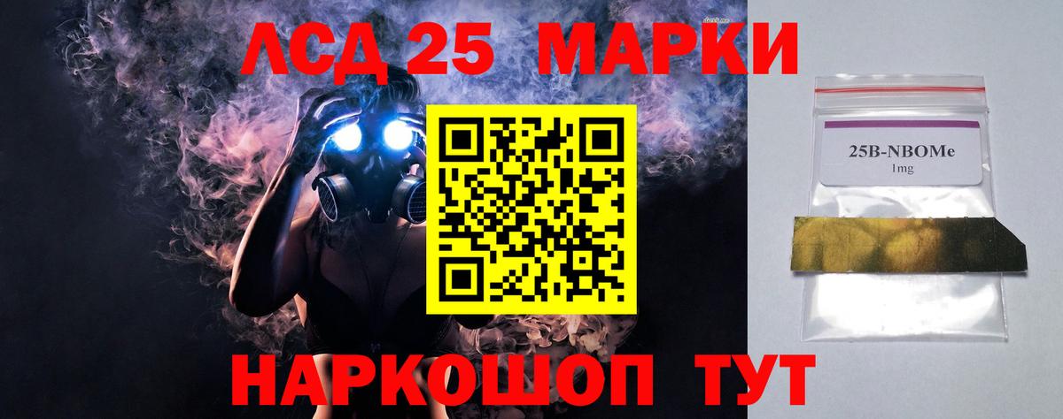 МЕФ Владимир