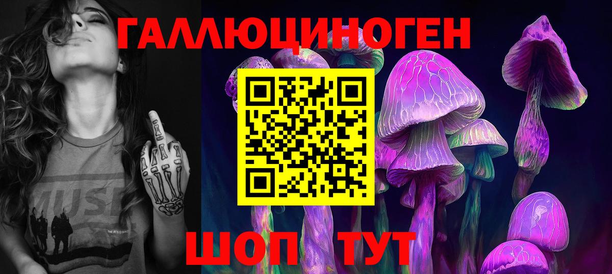 Галлюциногенные грибы Psilocybe Владимир